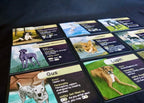 Good Dog, Bad Zombie: 2nd Edition