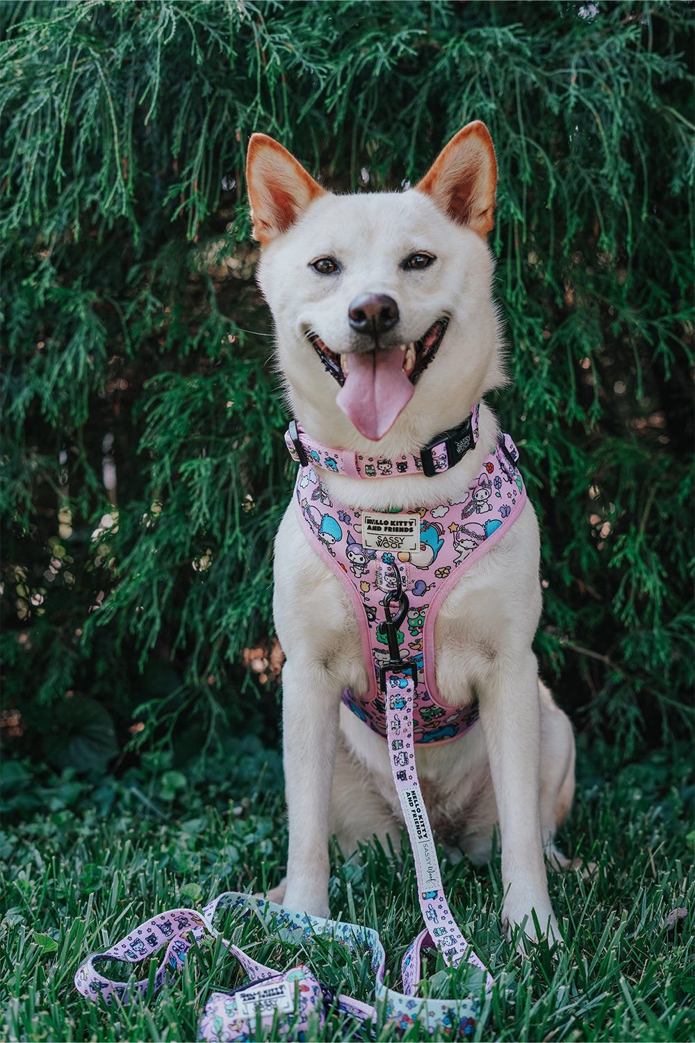 Dog Leash - Hello Kitty® & Friends Flower Festival
