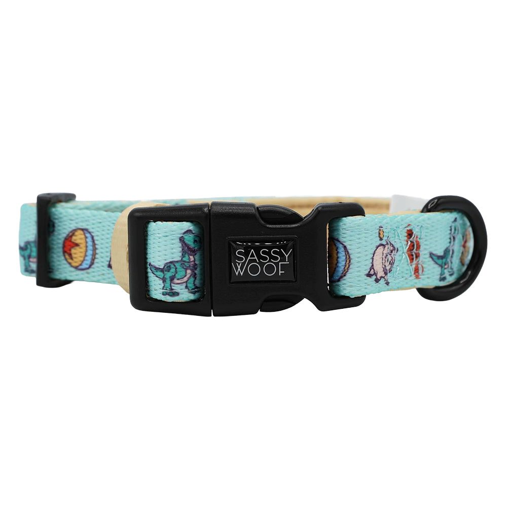 Dog Collar - Disney and Pixar's Toy Story