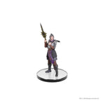 D&D Icons of the Realms: Baldur's Gate 3 - Character Boxed Set - 