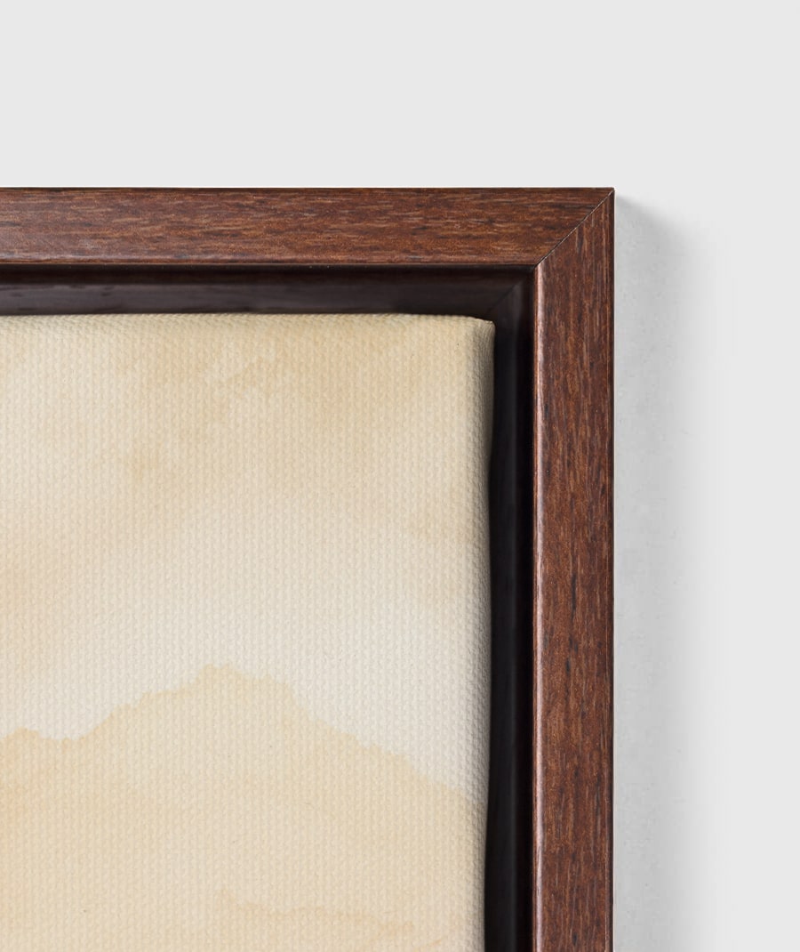 Bespin Cloud City Star Wars Framed Canvas Art