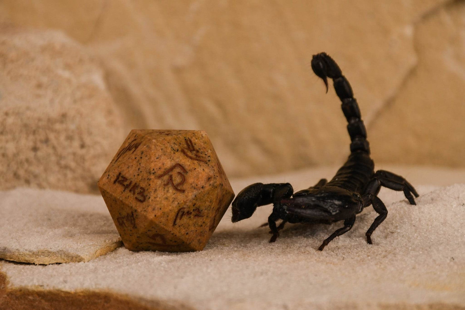 Demotic Limestone 30mm d20 - Dice Around the World Collection - 