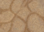 Desert Paths - Neoprene Battle Mat - Warhammer, AoS, 40K, Kill Team, MCP, Shatterpoint, Legion, More - 36x36