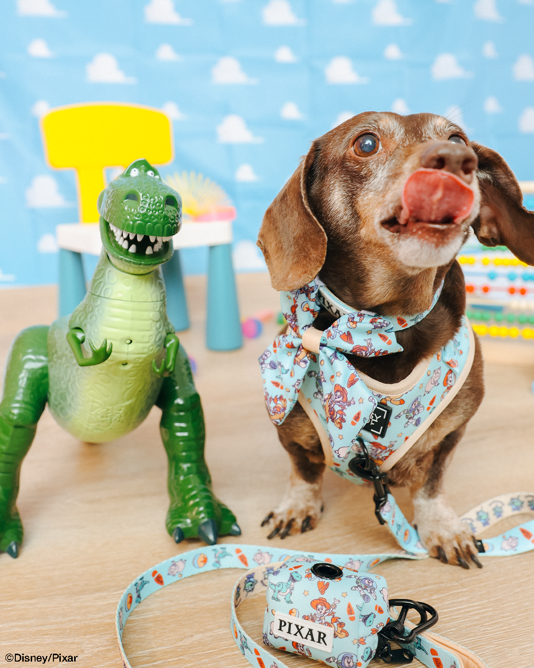 Dog Collar - Disney and Pixar's Toy Story