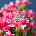 Disney X RockLove DISNEY MULAN Mulan Cherry Blossom Stacker Rings - Rose Gold Plated / Size 5