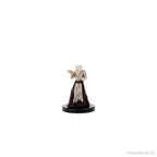D&D: Icons of the Realms - Curse of Strahd - Covens & Covenants - 