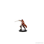 D&D: Icons of the Realms - Curse of Strahd - Legends of Barovia - 