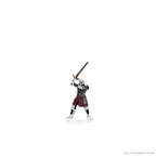 D&D: Icons of the Realms - Curse of Strahd - Denizens of Barovia - 