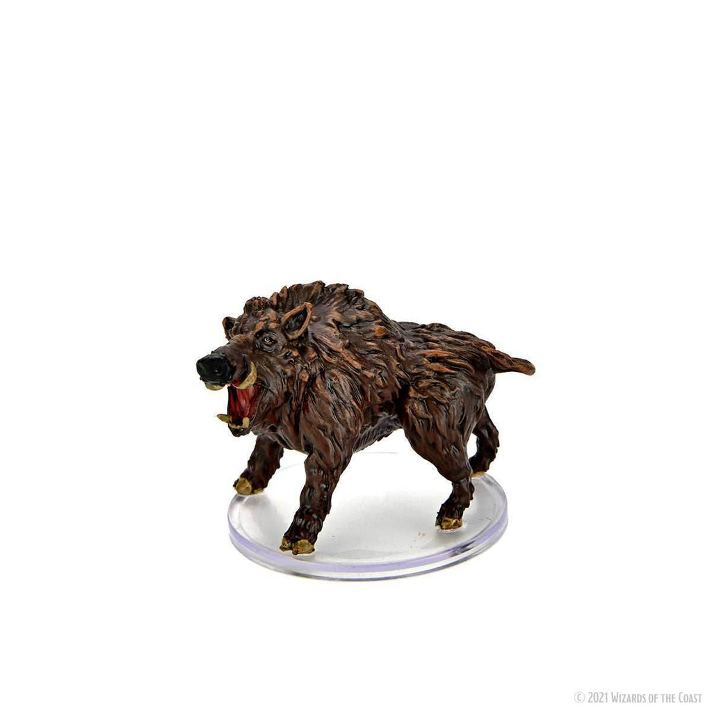 D&D: Icons of the Realms - Wild Shape & Polymorph (Set 1) - 