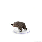 D&D: Icons of the Realms - Wild Shape & Polymorph (Set 2) - 