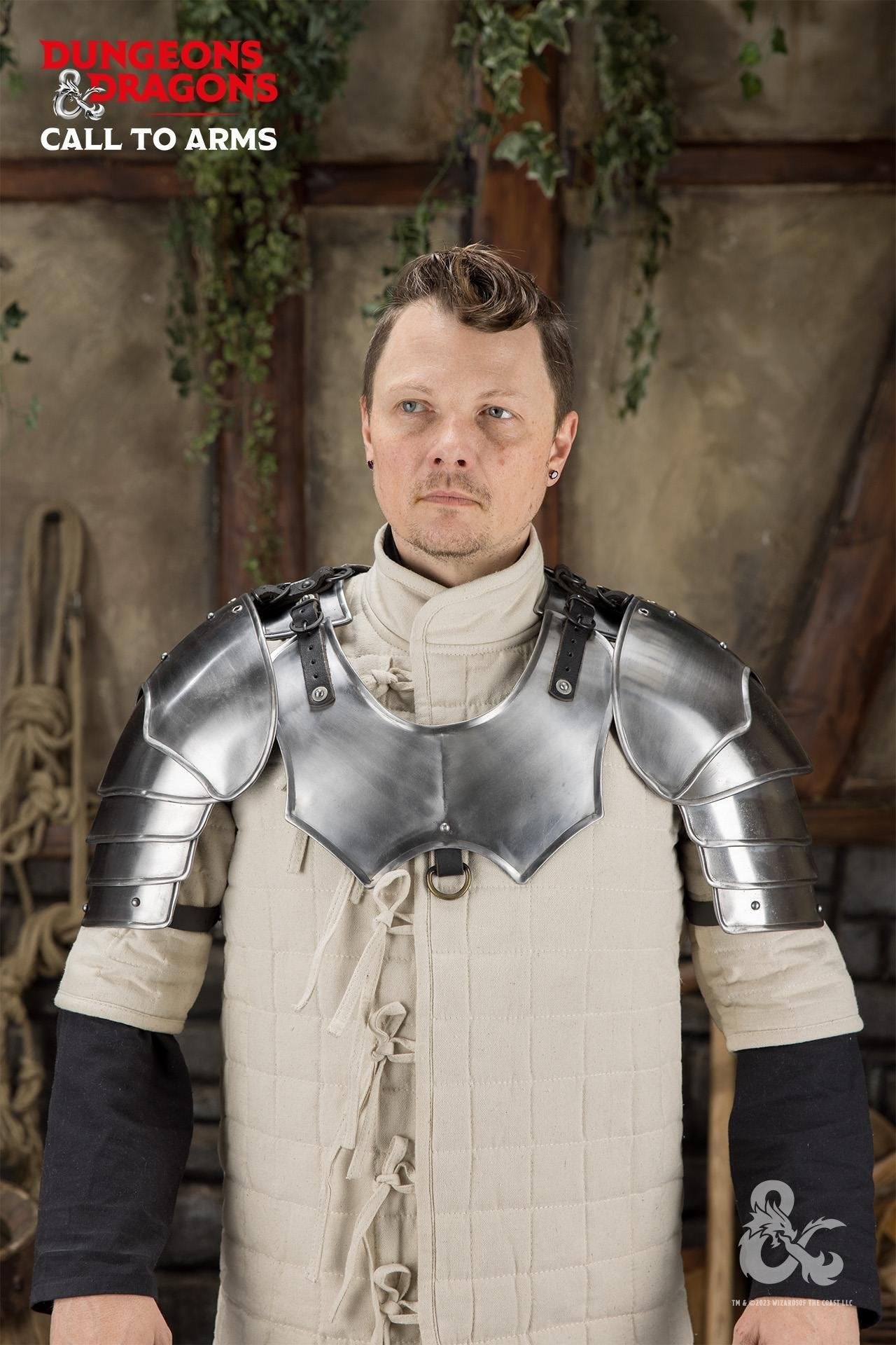 Dungeons & Dragons Steel Pauldrons polished