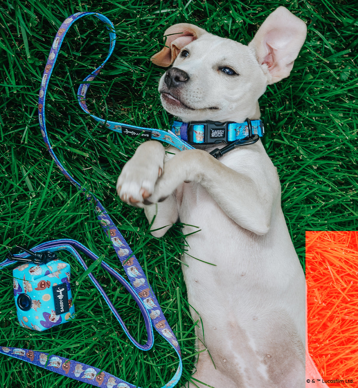 Dog Leash - STAR WARS™ The Mandalorian™