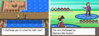 Pokemon Pure Heart Nintendo DS Custom ROM Hack Video Game Cartridge