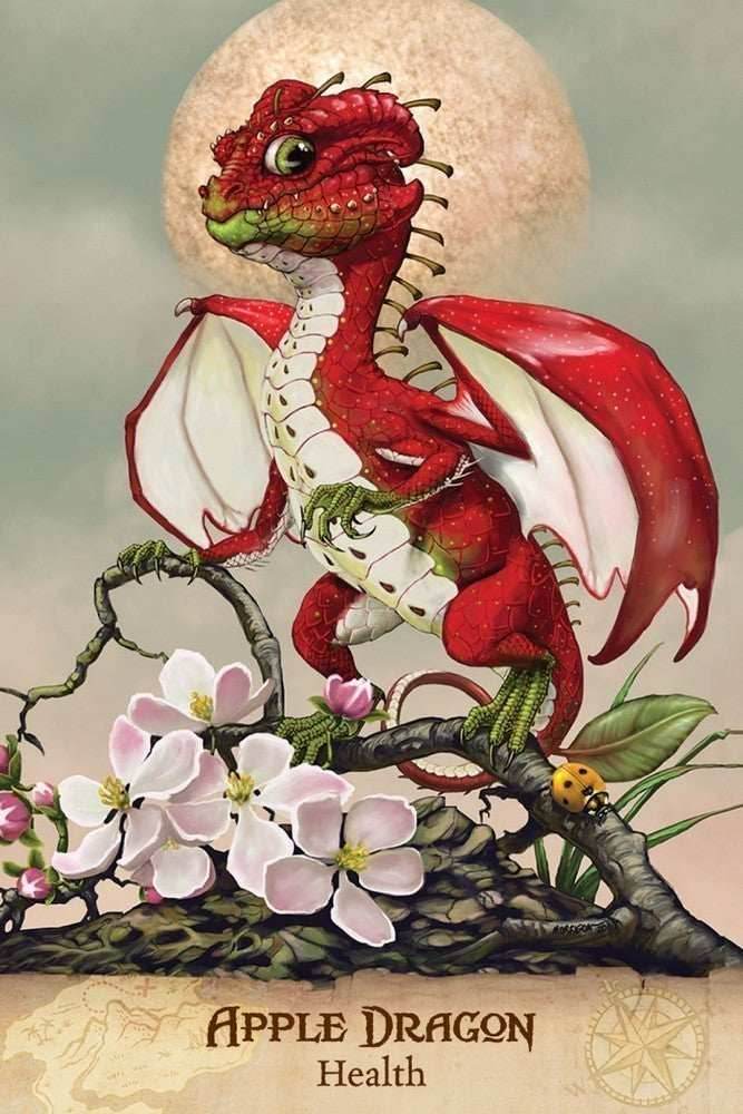 Field Guide To Garden Dragons - 