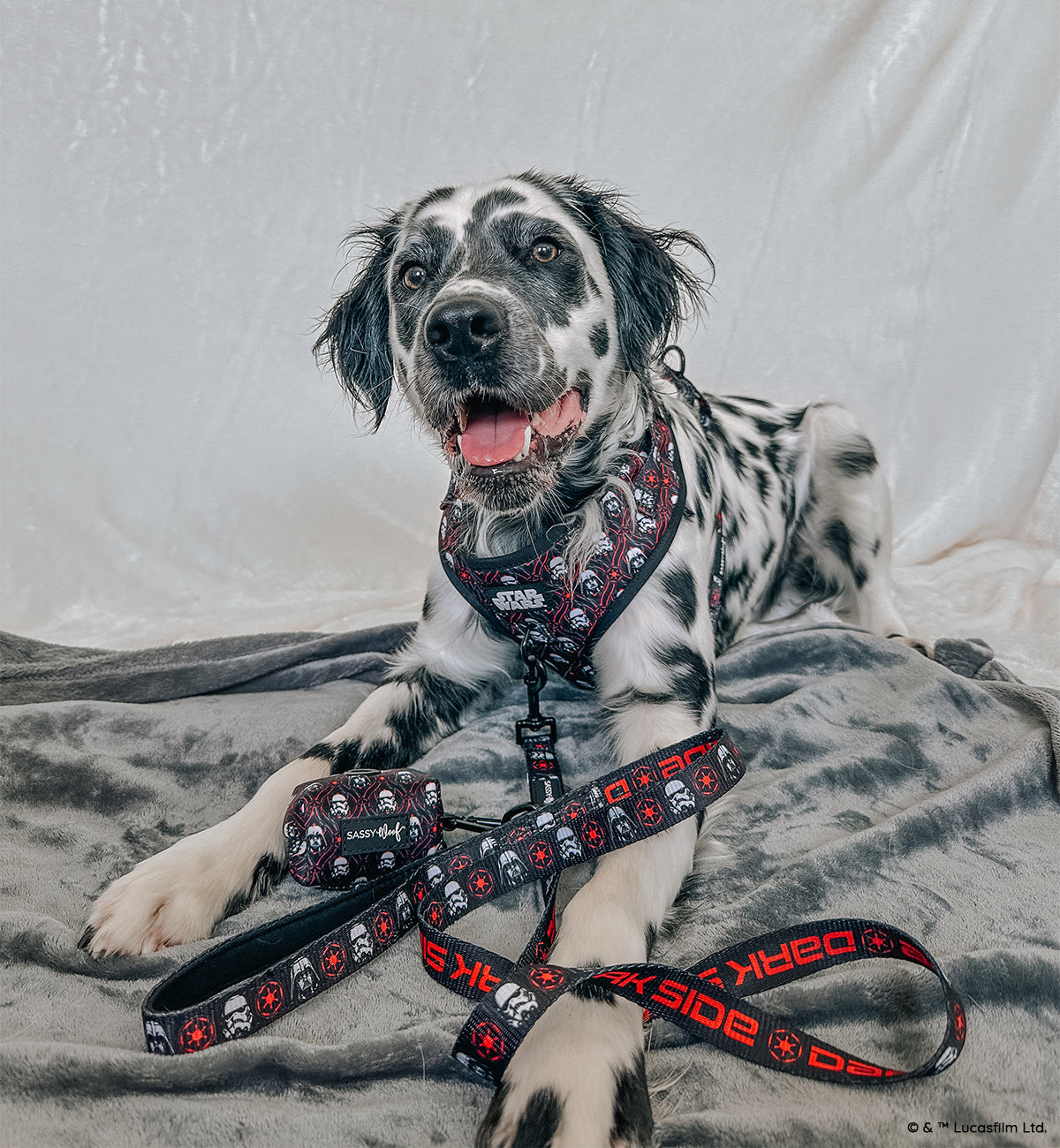 Dog Leash - STAR WARS™ The Dark Side