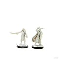 Pathfinder Battles: Deep Cuts - Human Champion Female - 