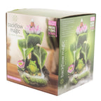 Frog Back Flow Incense Burner