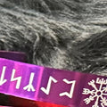 Futhark Vegvisir Bands