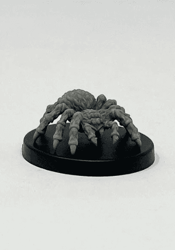 Giant Wolf Spider - 