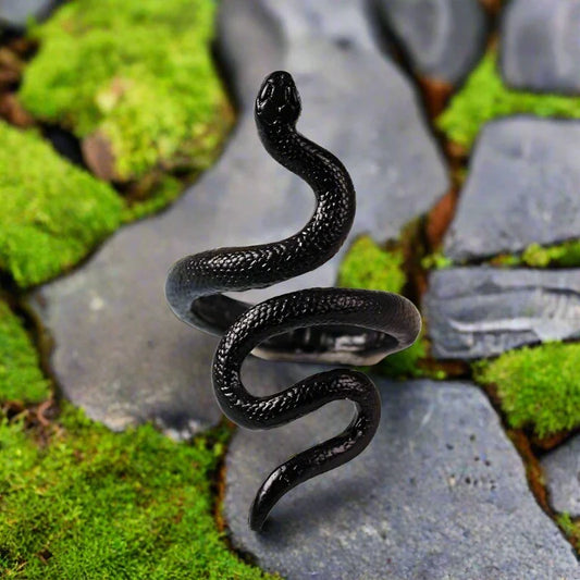 Bague Serpent Viking avec Serpent en Acier Noirci