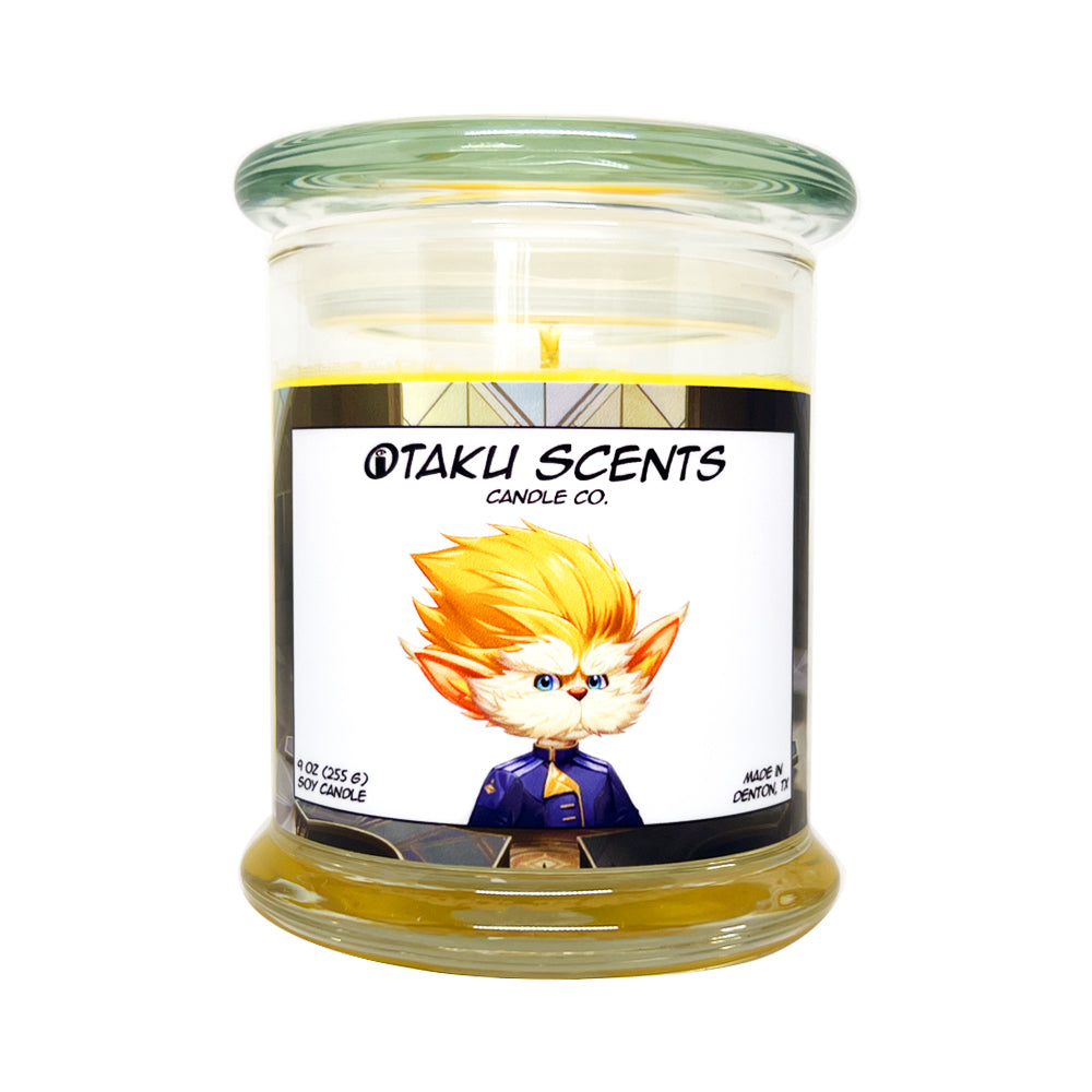 Heimerdinger