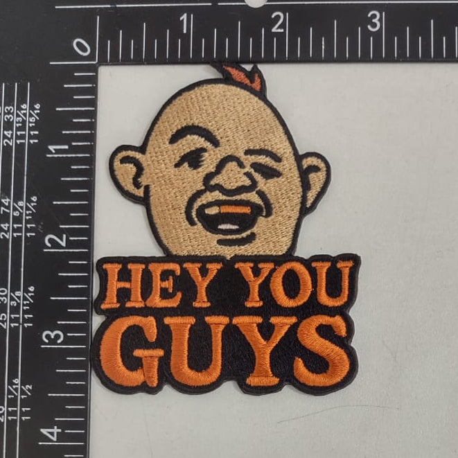 Hey You Guys Patch
