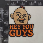 Hey You Guys Patch