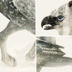 Hippogriff D&D Art Print