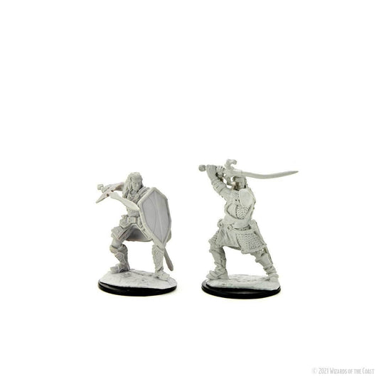 D&D: Nolzur's Marvelous Miniatures - Human Paladin Male - 