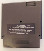 Castlequest | NES | VG - 