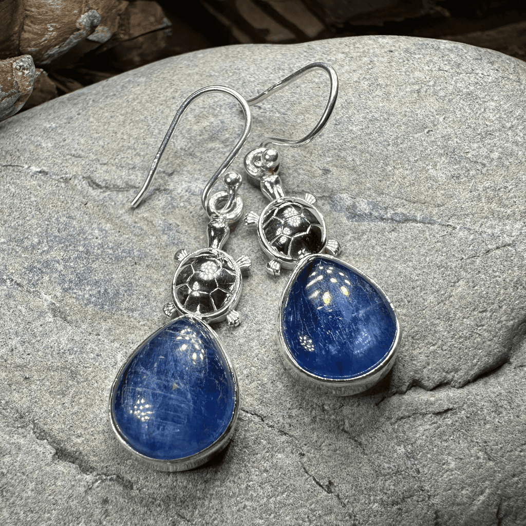 Friendly Turtle Earrings - 