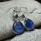 Friendly Turtle Earrings - 