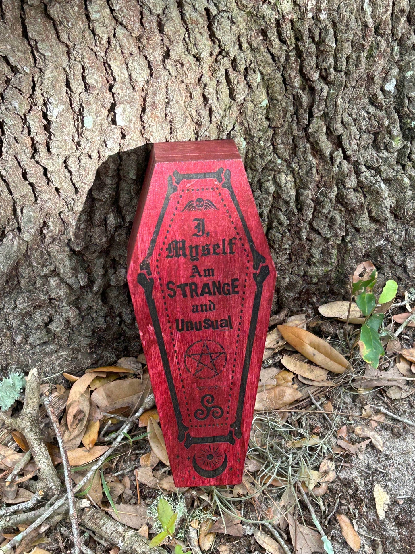 Strange and Unusual Casket Box - 