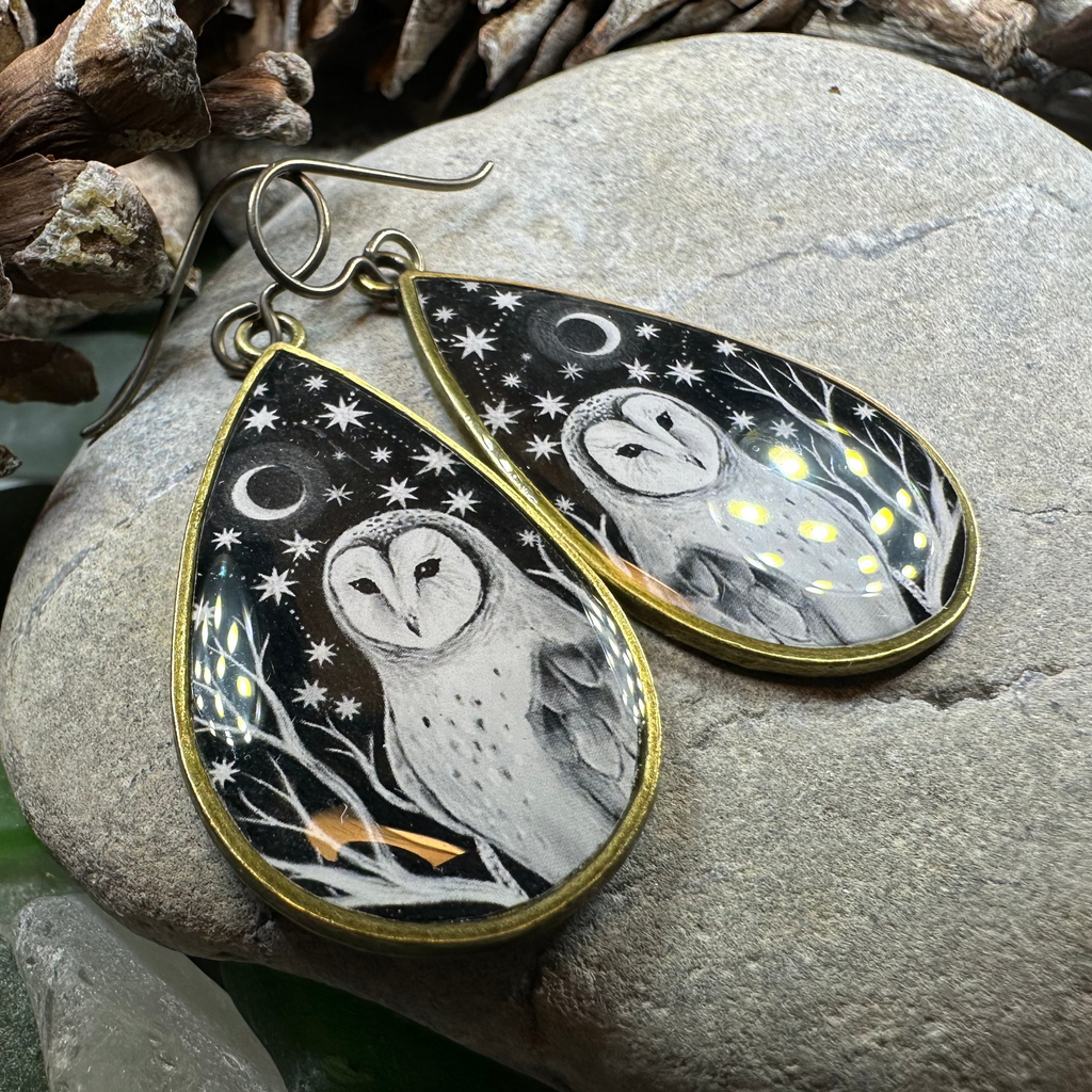 Night Sky Barn Owl Earrings