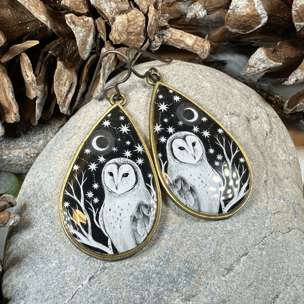 Night Sky Barn Owl Earrings - 