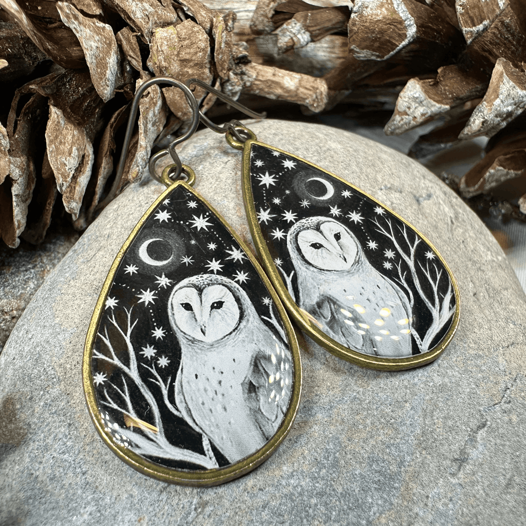 Night Sky Barn Owl Earrings - 