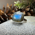 Celtic Twilight Labradorite Ring