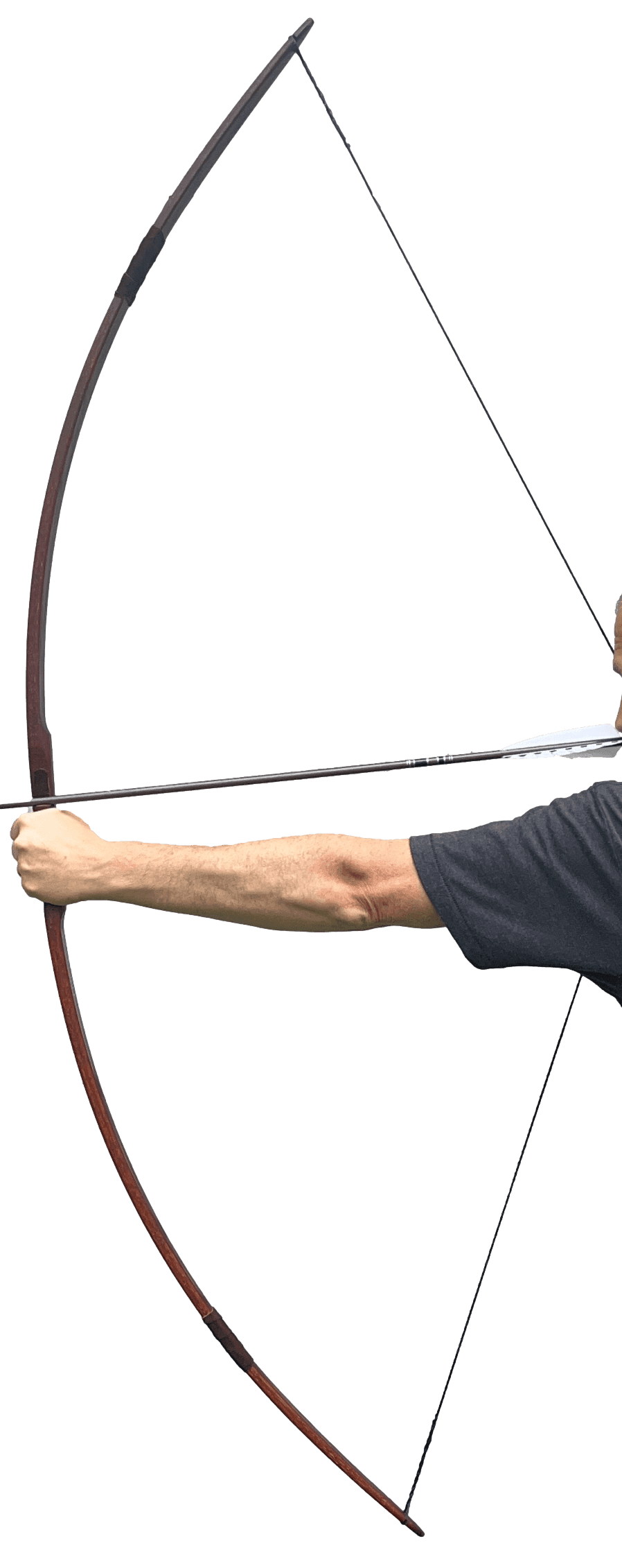 Forest Runner Katniss Longbow - 20-25 / Right Hand
