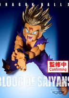 Dragon Ball Z Blood Of Saiyans Special Xi