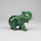 Elephant, Trunk up