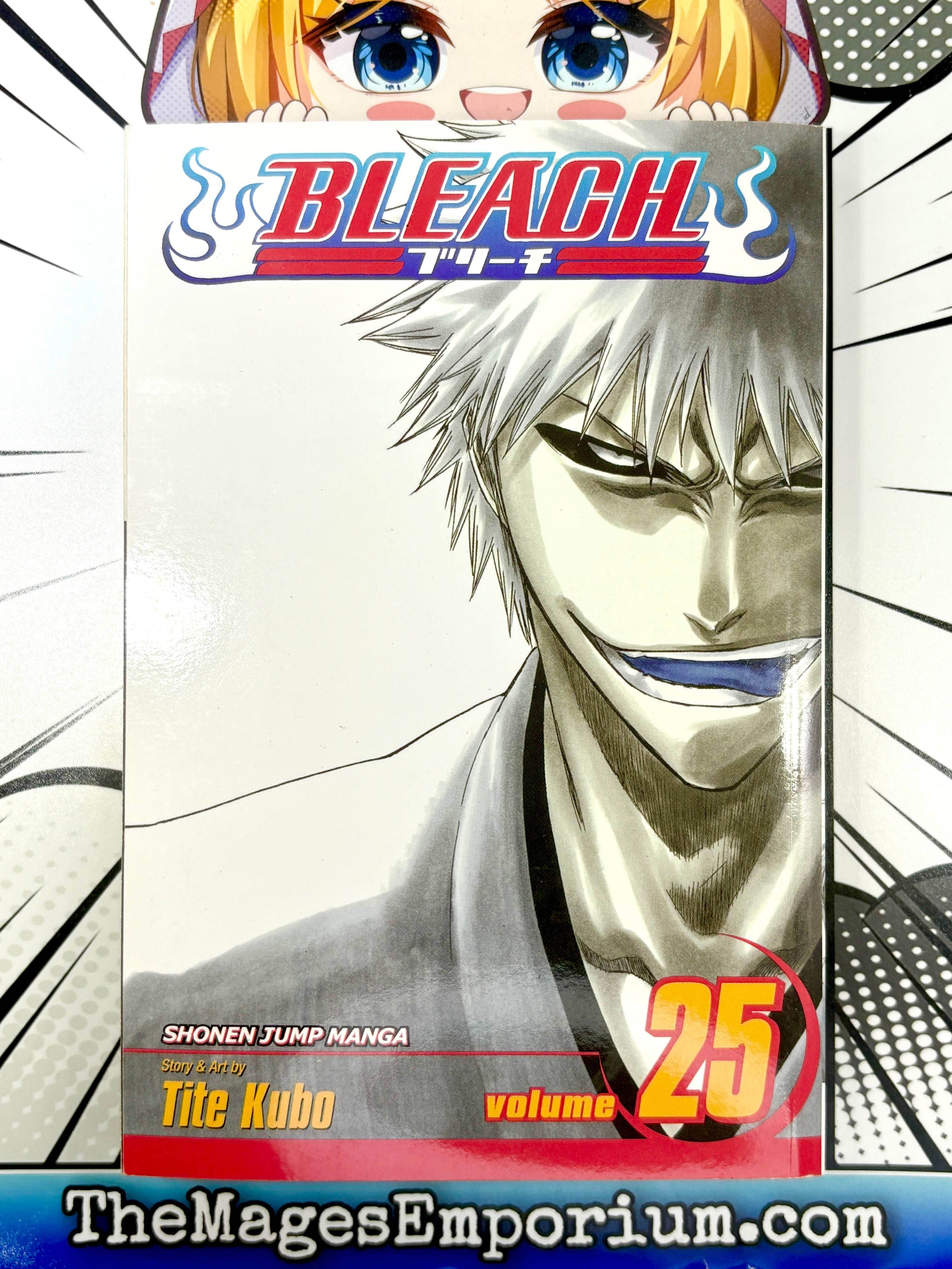 Bleach Vol 25 - 