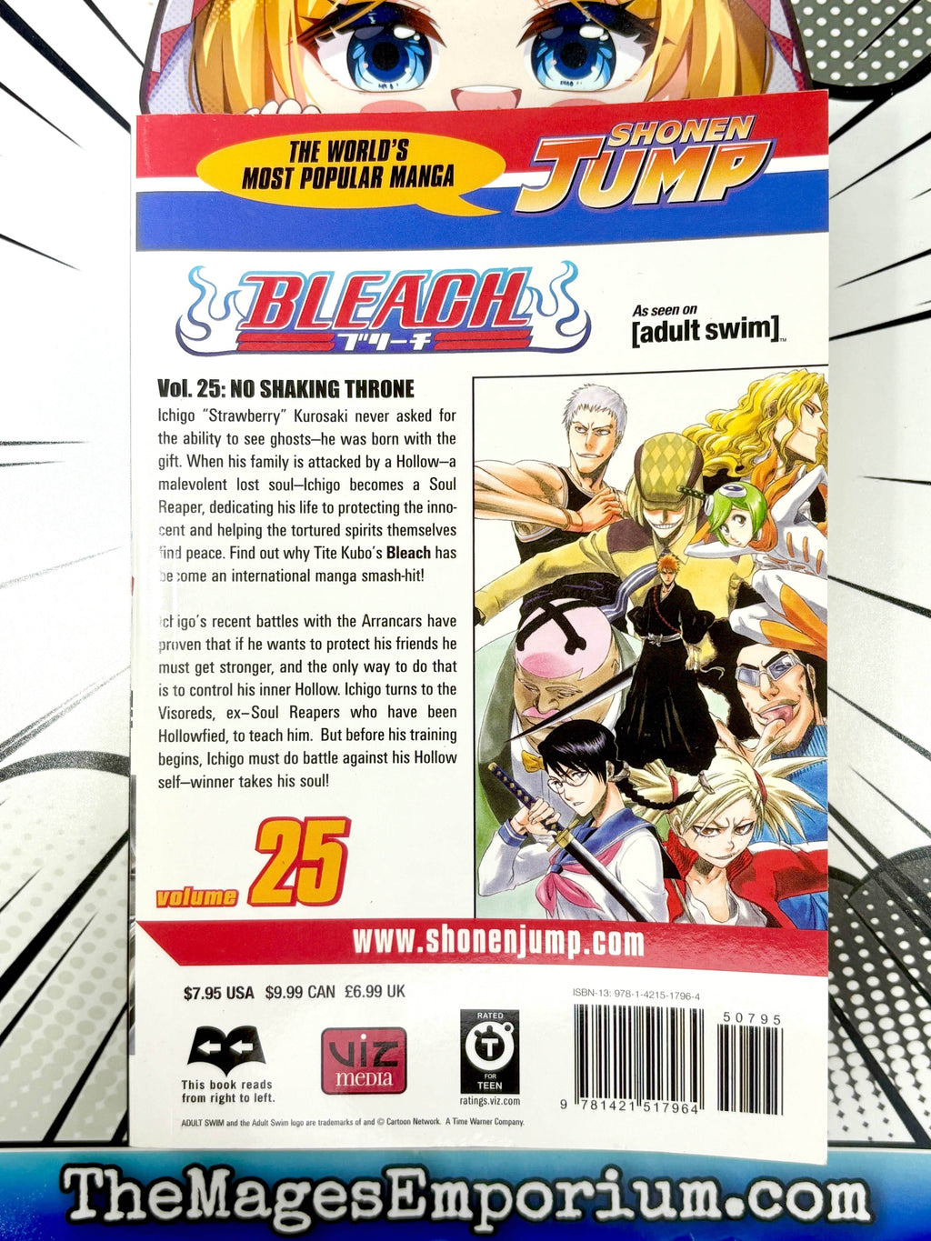 Bleach Vol 25 - 