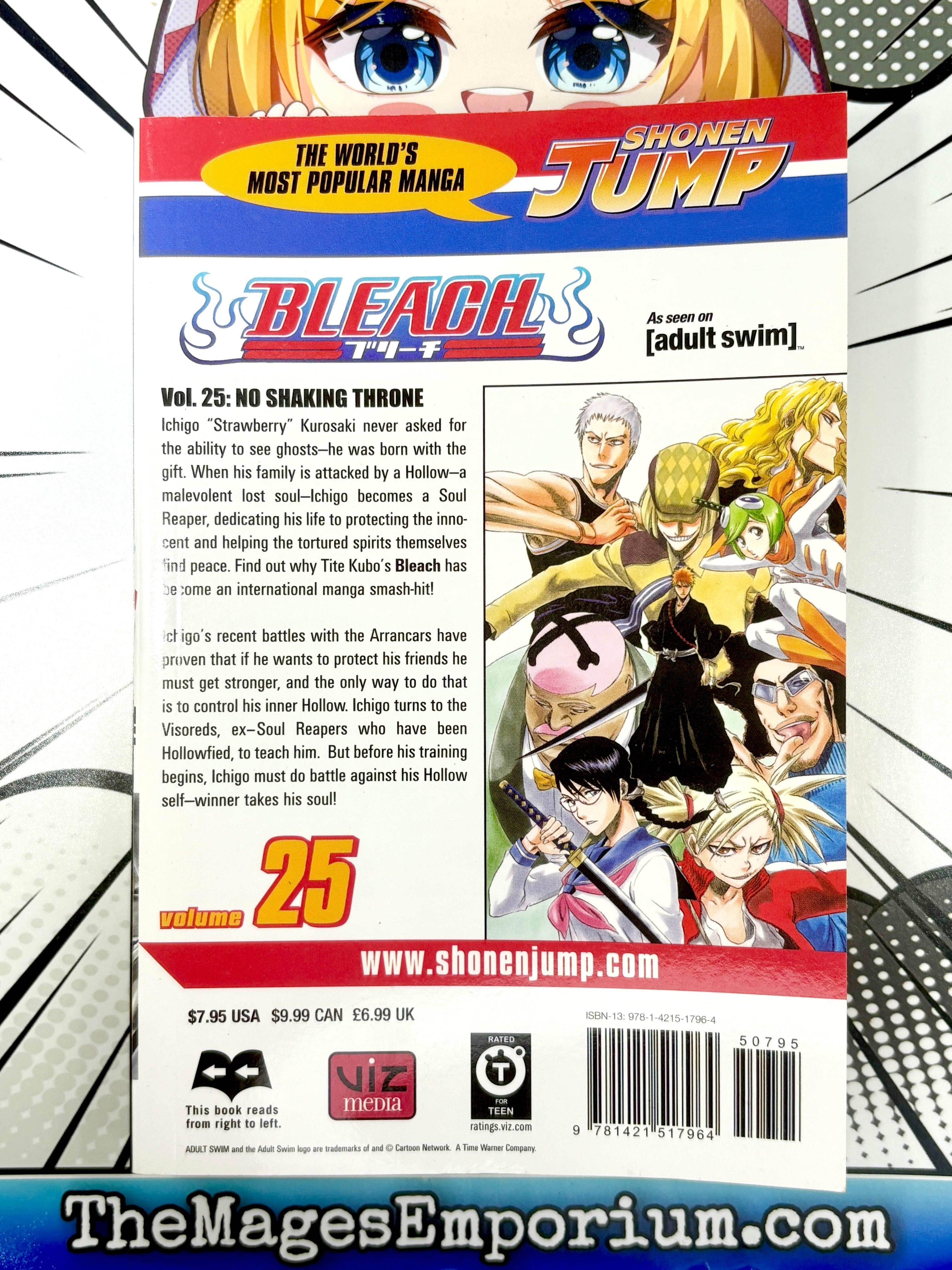 Bleach Vol 25 - 