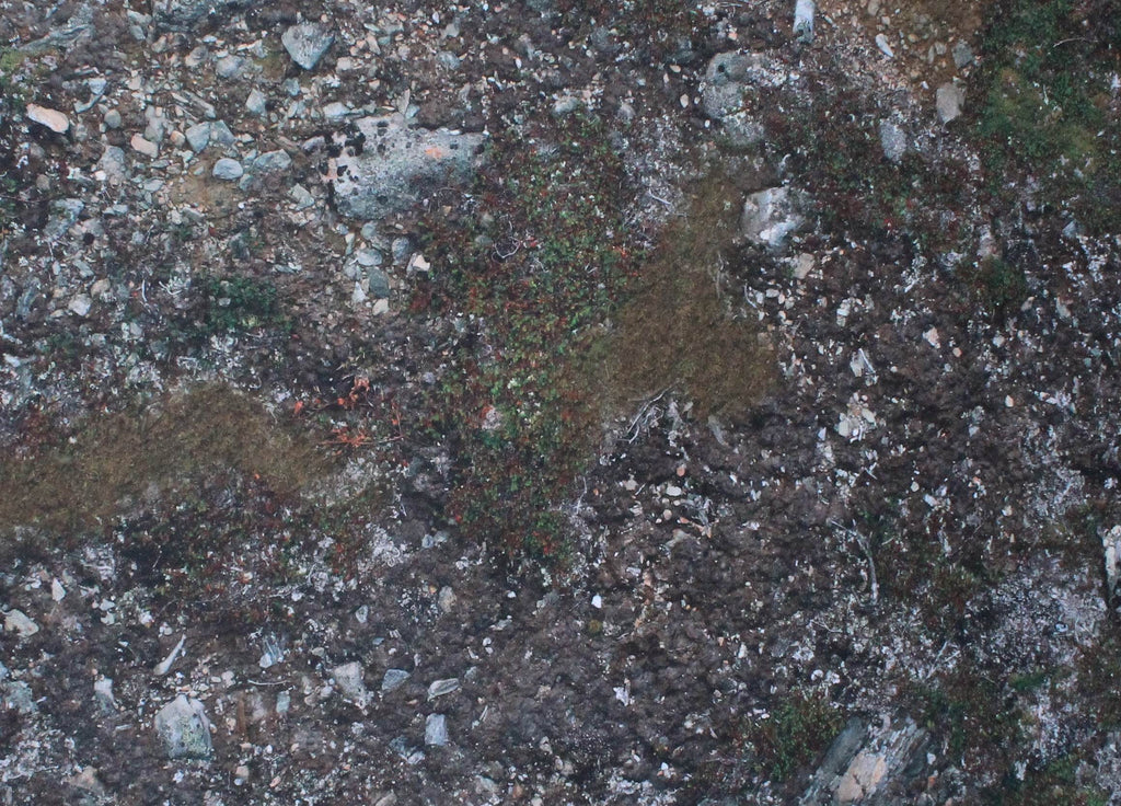 Muddy Battlefield - Neoprene Battle Mat - Warhammer, AoS, 40K, Kill Team, MCP, Shatterpoint, Legion, More - 44x60