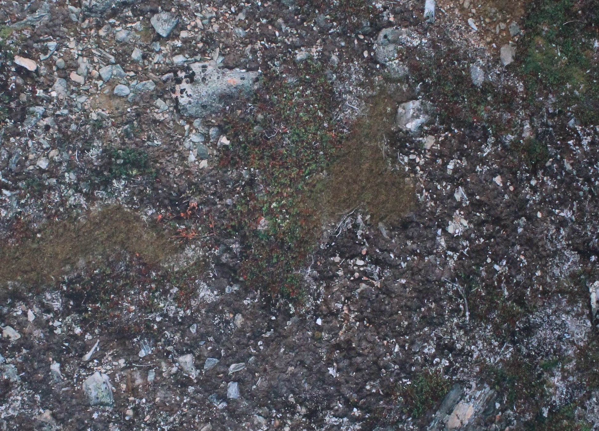 Muddy Battlefield - Neoprene Battle Mat - Warhammer, AoS, 40K, Kill Team, MCP, Shatterpoint, Legion, More - 44x60