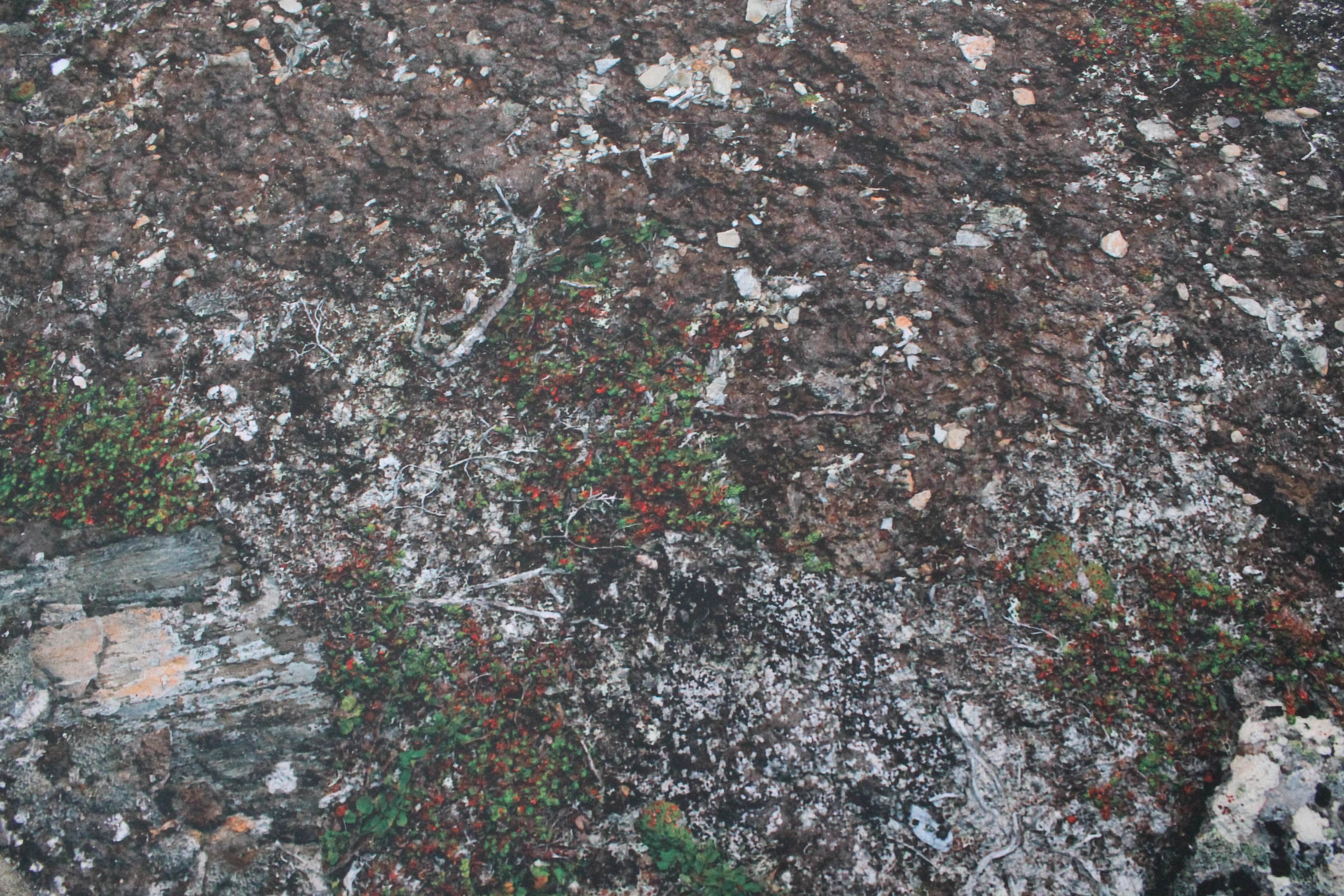 Muddy Battlefield - Neoprene Battle Mat - Warhammer, AoS, 40K, Kill Team, MCP, Shatterpoint, Legion, More - 44x60