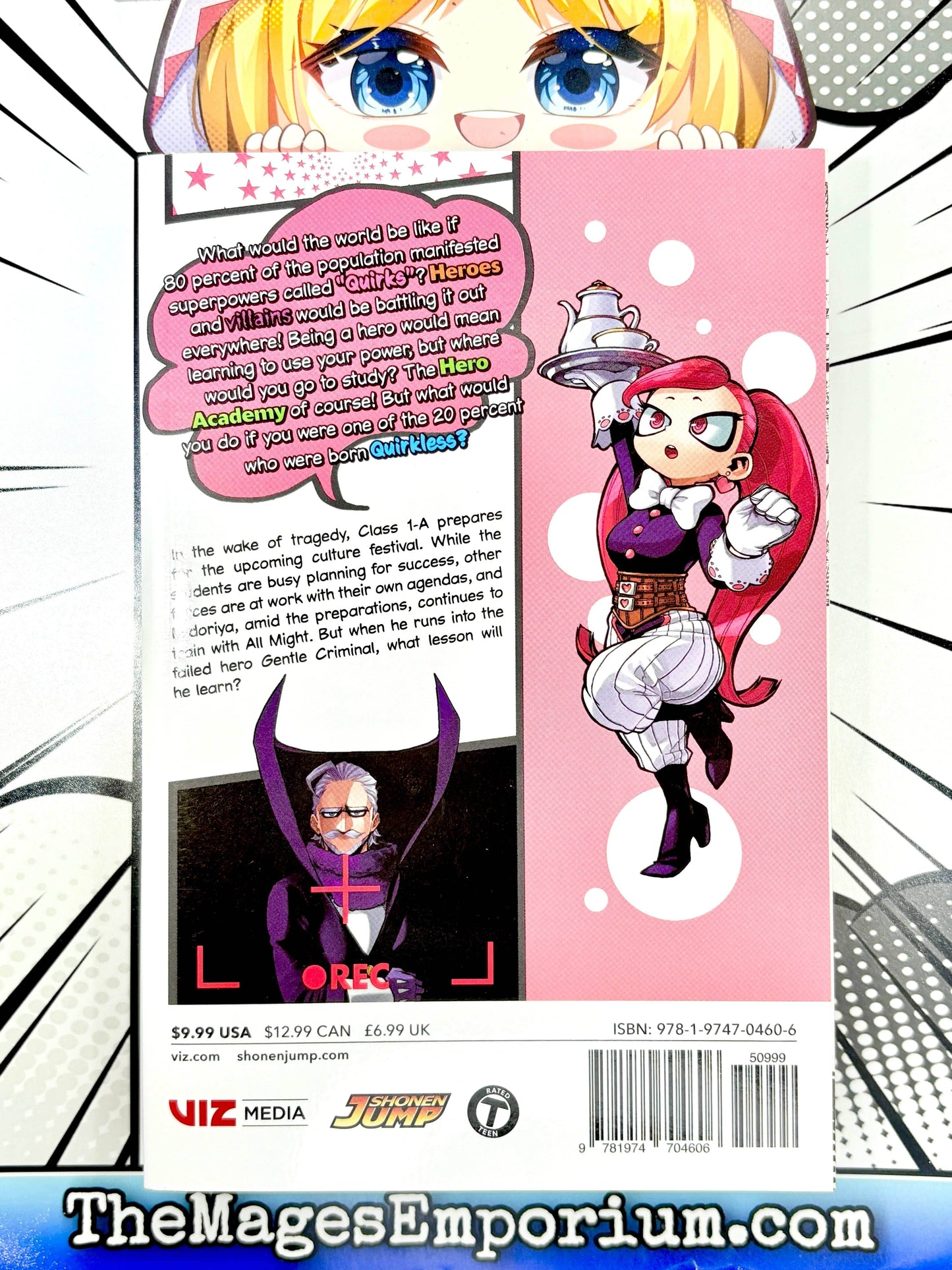 My Hero Academia Vol 19 - 