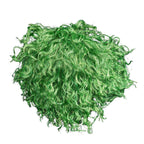 Green Comic Book Character Joke Clown Halloween Cosplay Costume Green Wig - 