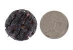 Freeze Dried JUMBO Blueberries