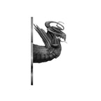 Dragon God of Justice - Included